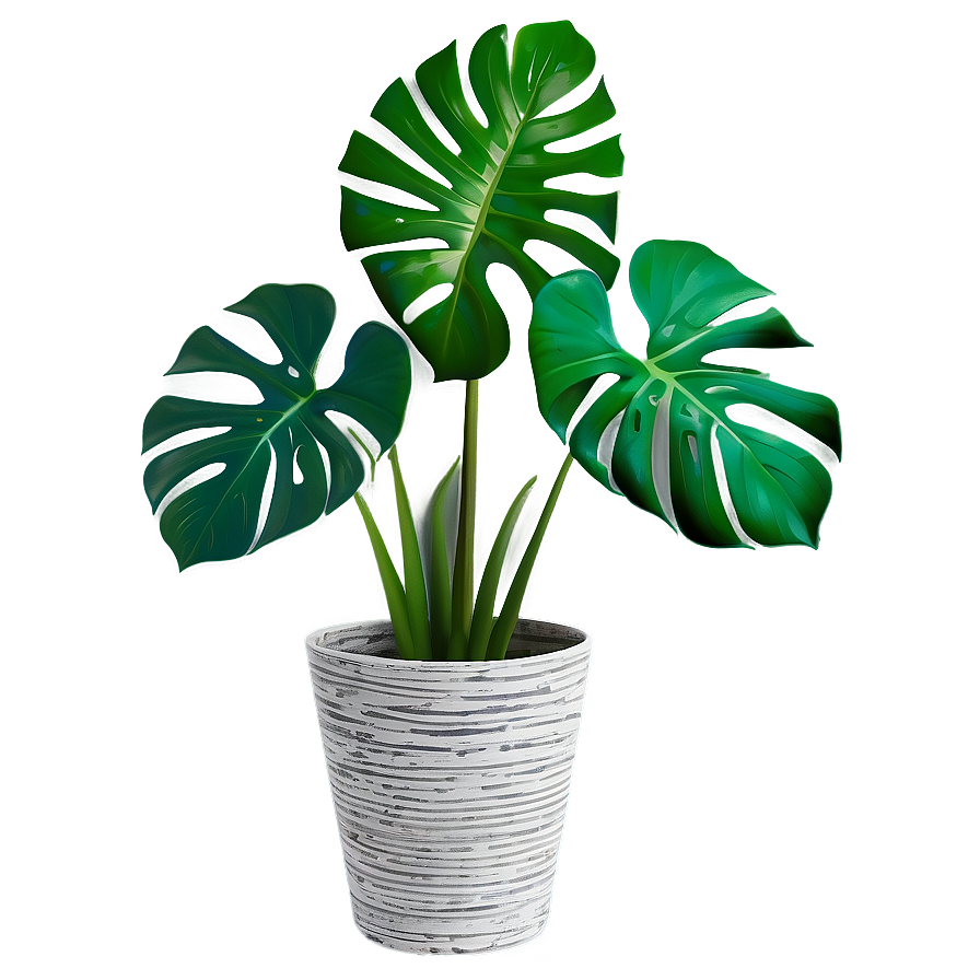 Indoor Monstera Plant Png Mxh