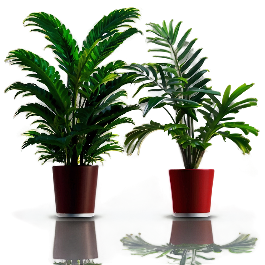 Indoor Plants In Office Png 06252024