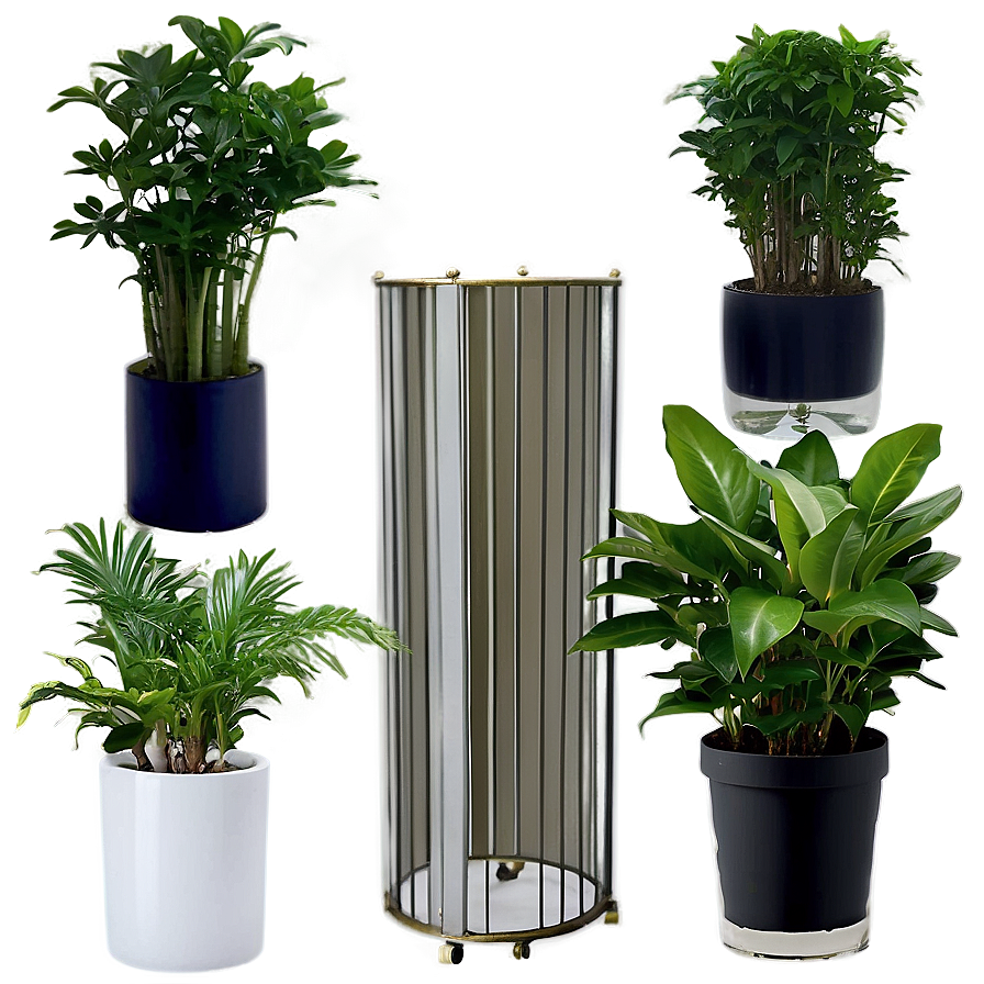 Indoor Plants In Office Png Uwy