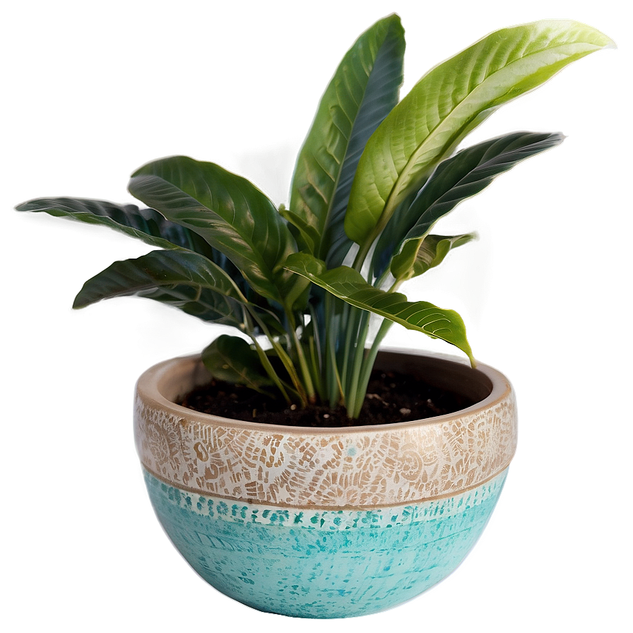 Indoor Pottery Planters Png 79