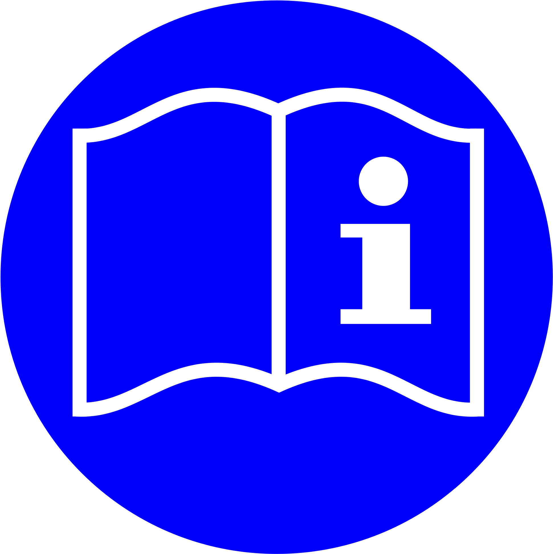 Information Symbol Icon