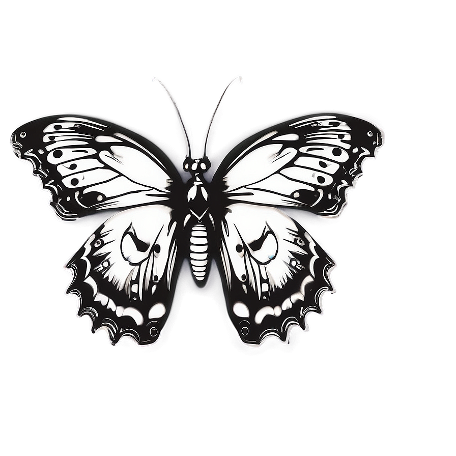 Inspirational Butterfly Outline Png 69