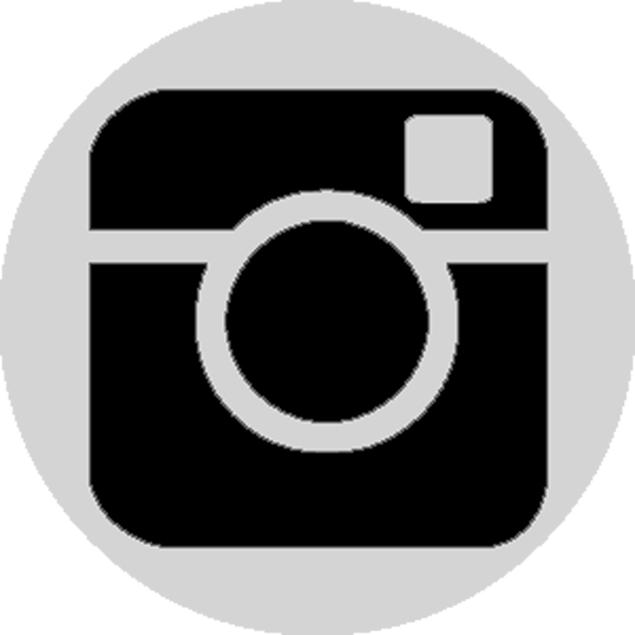 Instagram Logo Icon