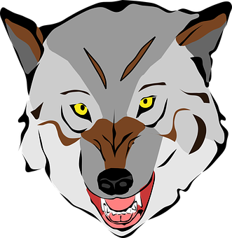 Intense Stare Wolf Vector Art