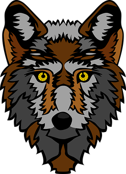 Intense Yellow Eyed Wolf Graphic