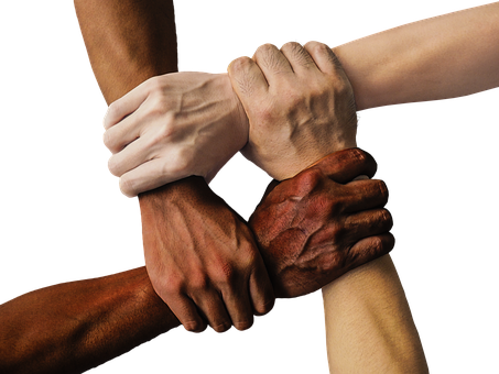 Interlocked Hands Unity Diversity