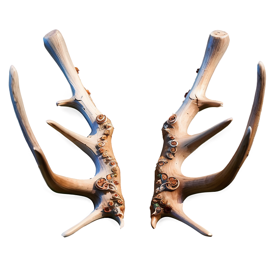 Intricate Deer Antler Representation Png Egr