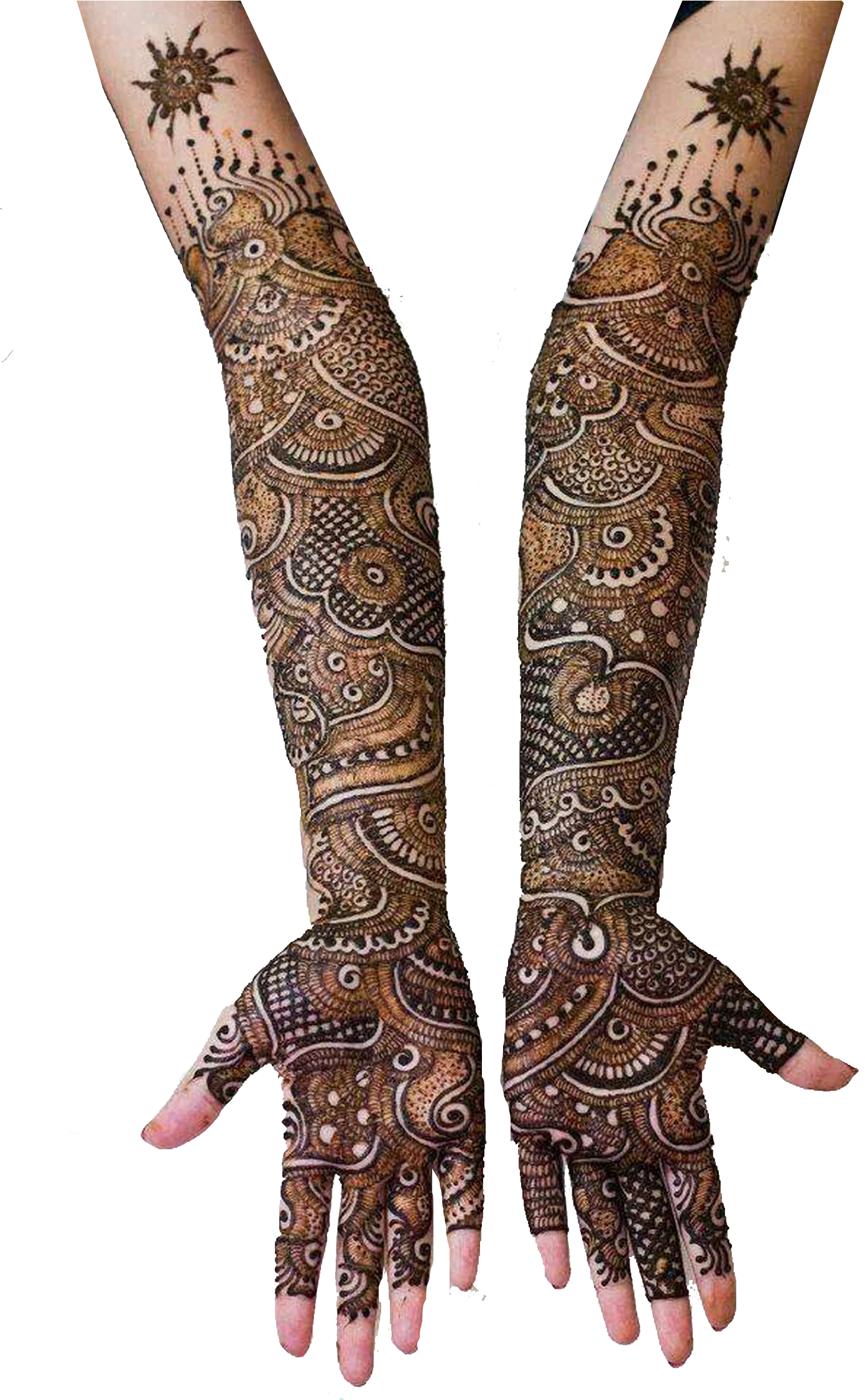 Intricate Mehndi Design Arms