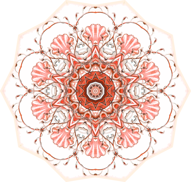 Intricate Red Mandala Pattern.png