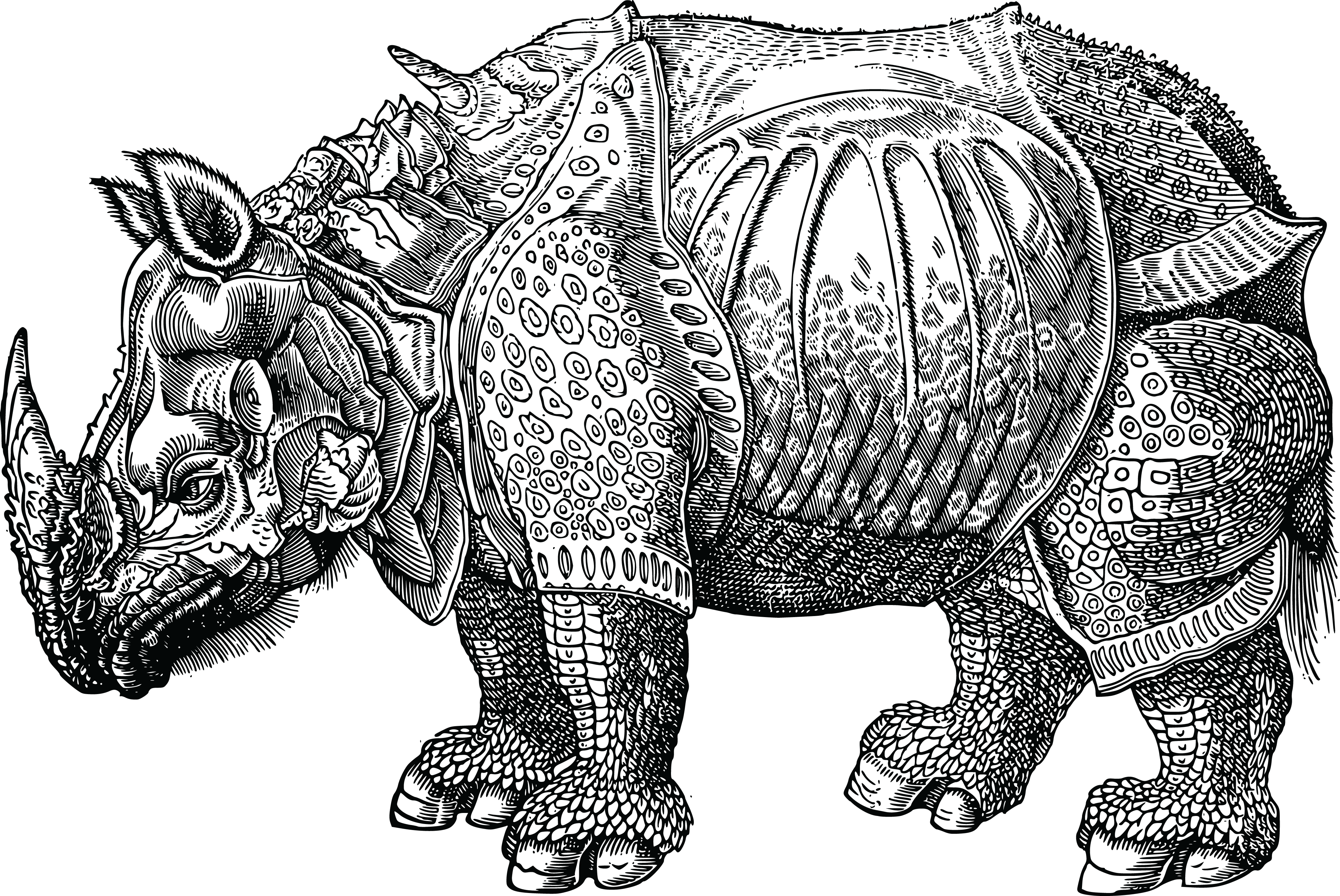 Intricate Rhinoceros Illustration