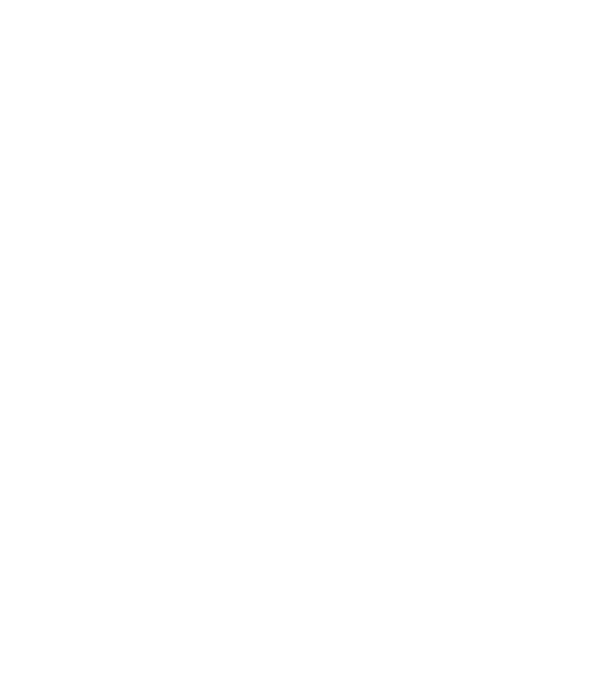 Intricate Snowflake Design.png