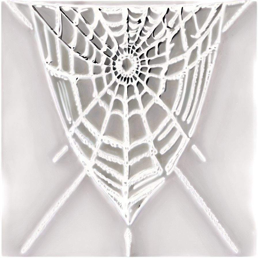 Intricate Spider Web Artwork