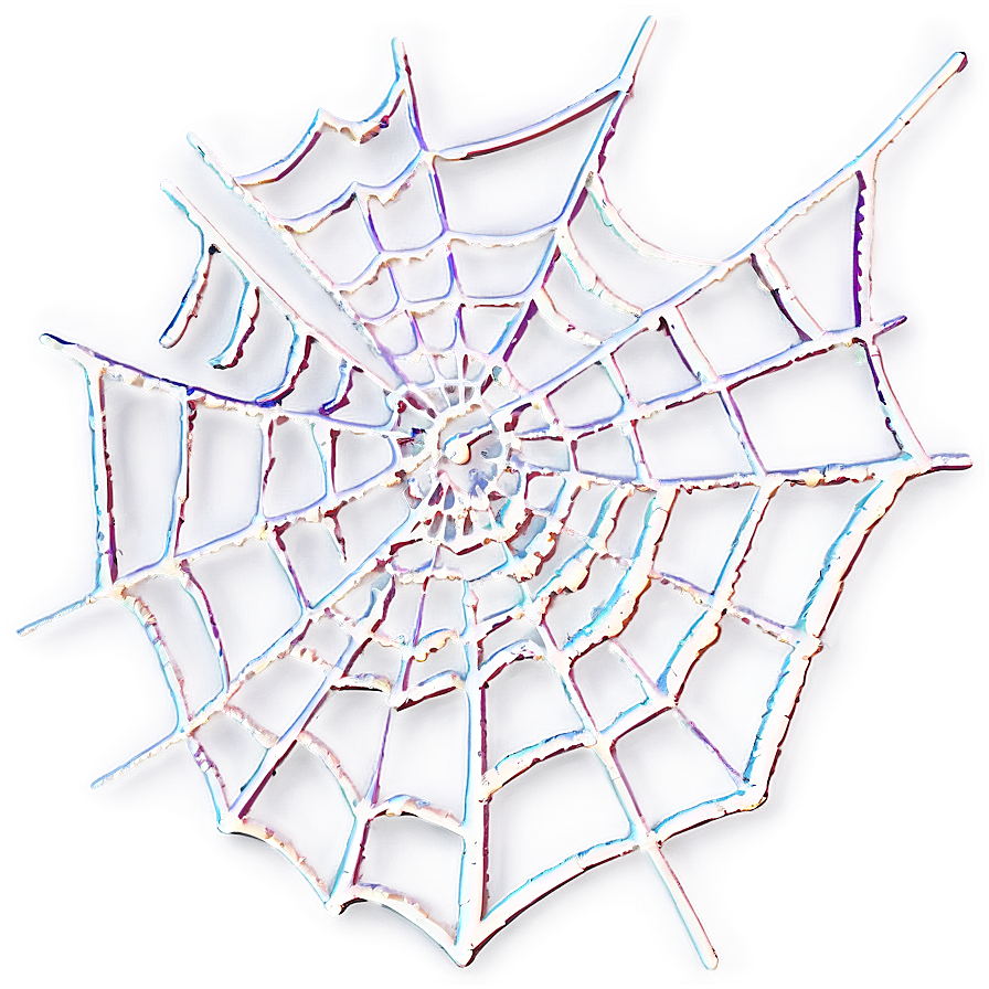 Intricate Spider Web Artwork