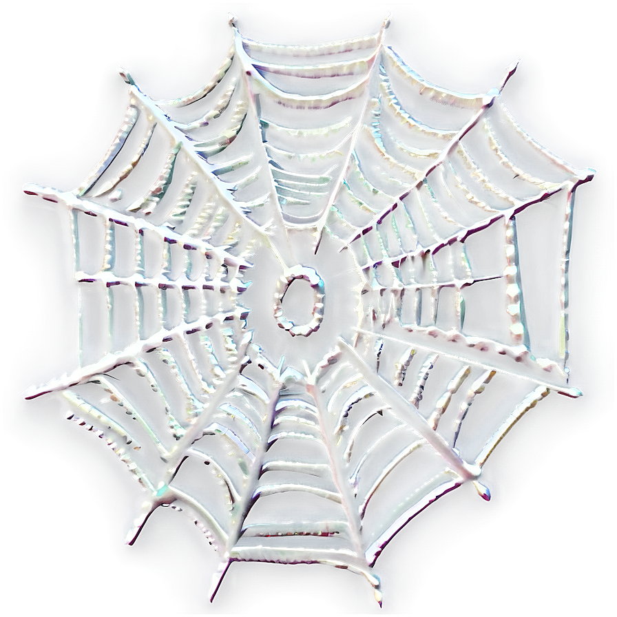 Intricate Spider Web Artwork