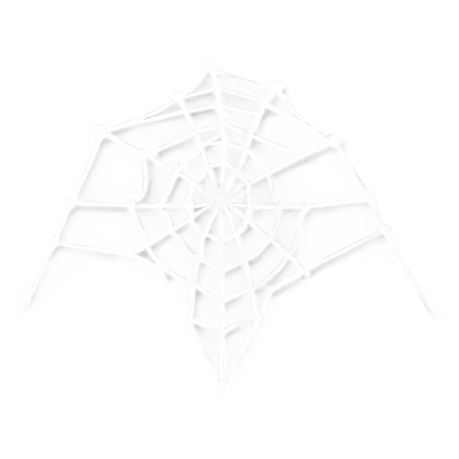 Intricate Spider Web Artwork