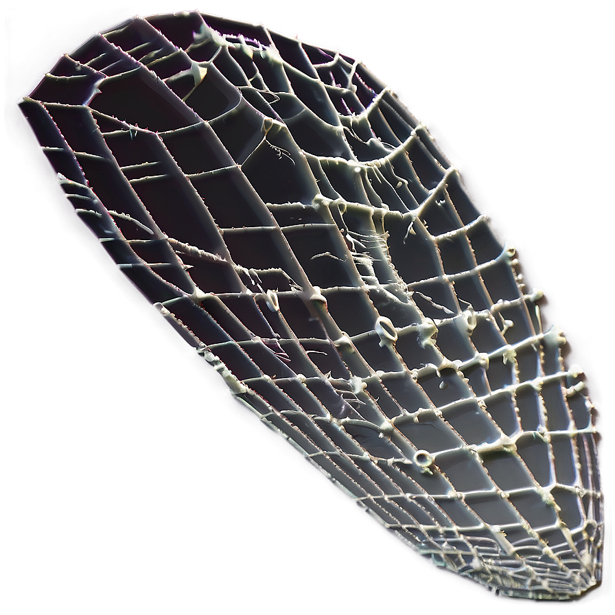 Intricate Spider Webon Leaf