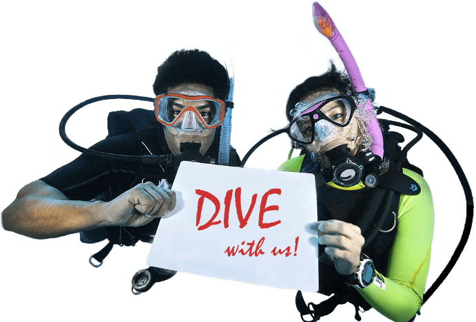 Invitationto Dive Snorkelers.png