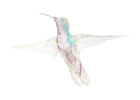 Iridescent Hummingbird Artwork