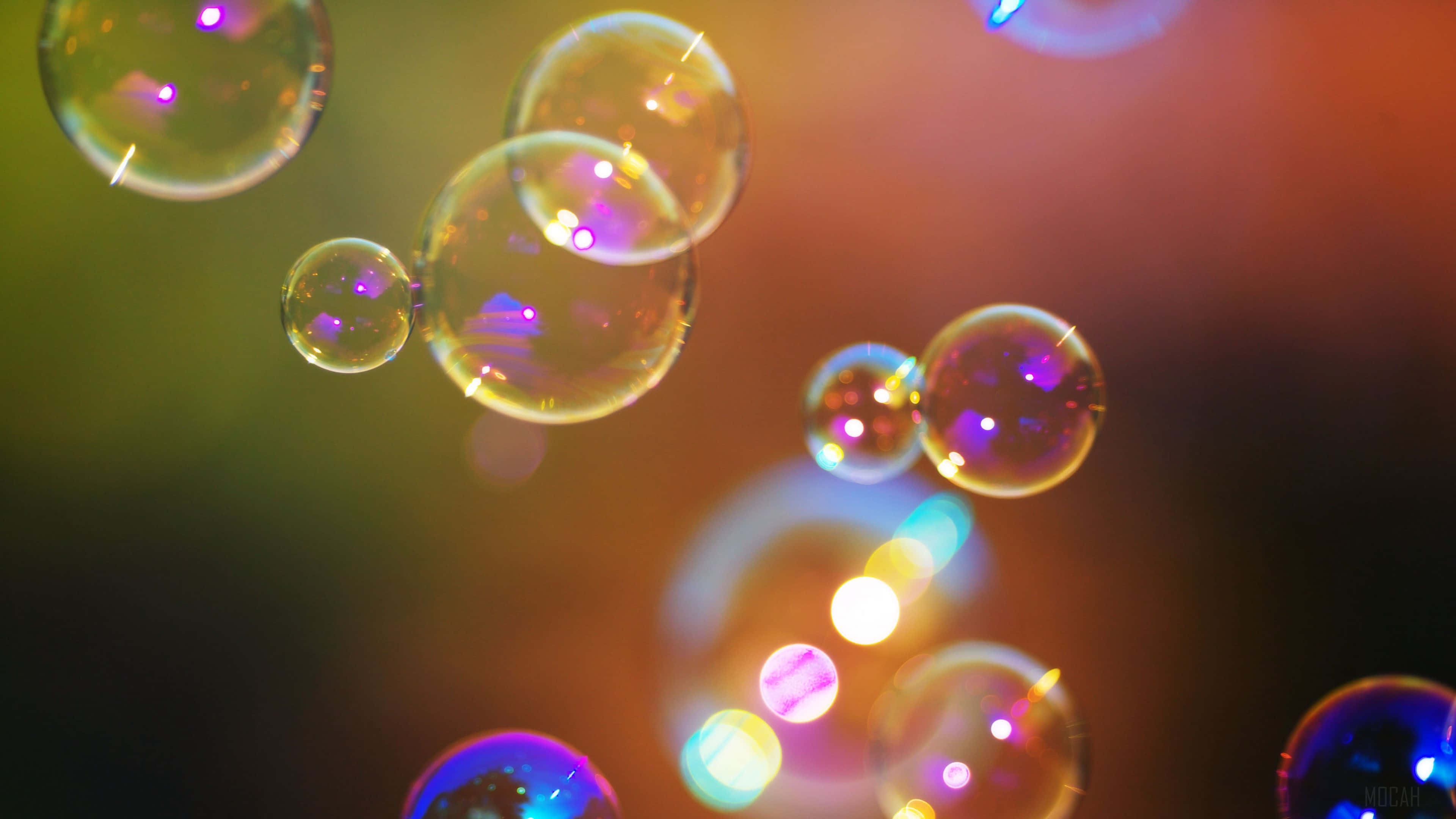 Iridescent Soap Bubbles Floating