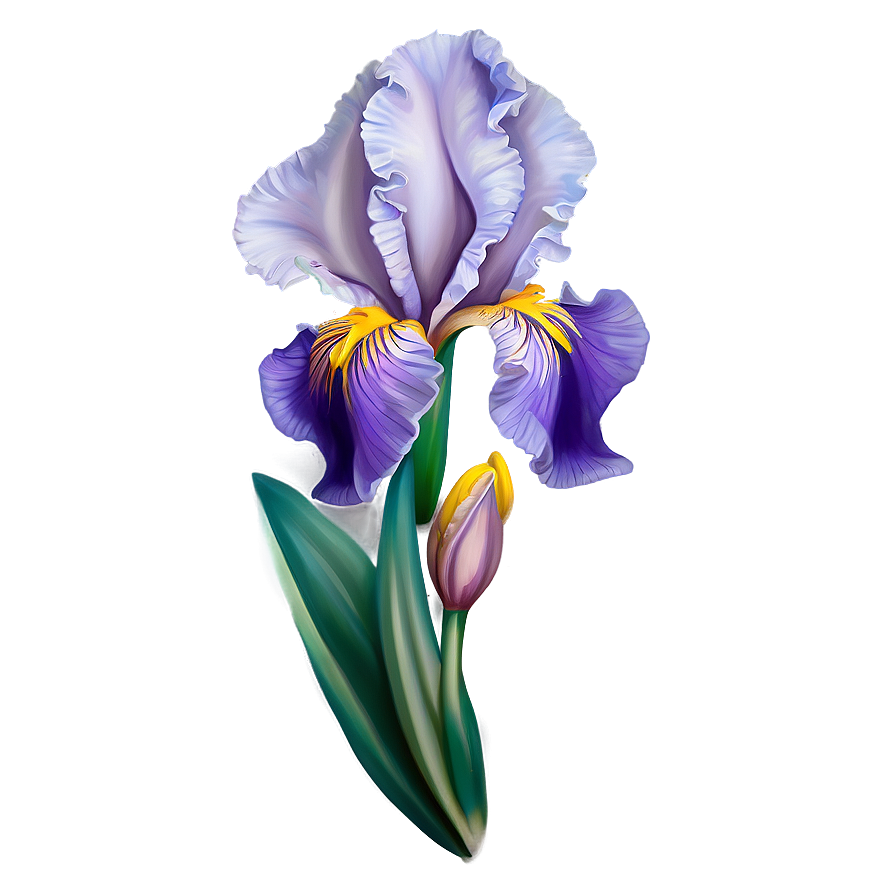 Iris Tattoo Inspiration Png 06122024