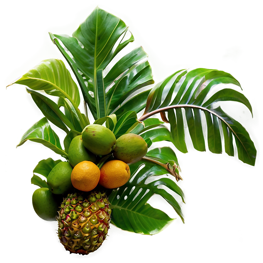 Island Tropical Fruit Harvest Png 05232024