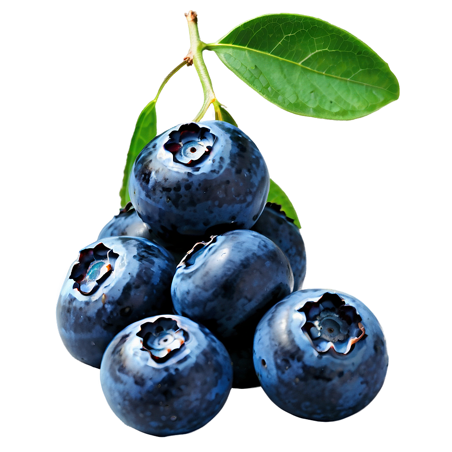 Isolated Blueberry Png 05212024