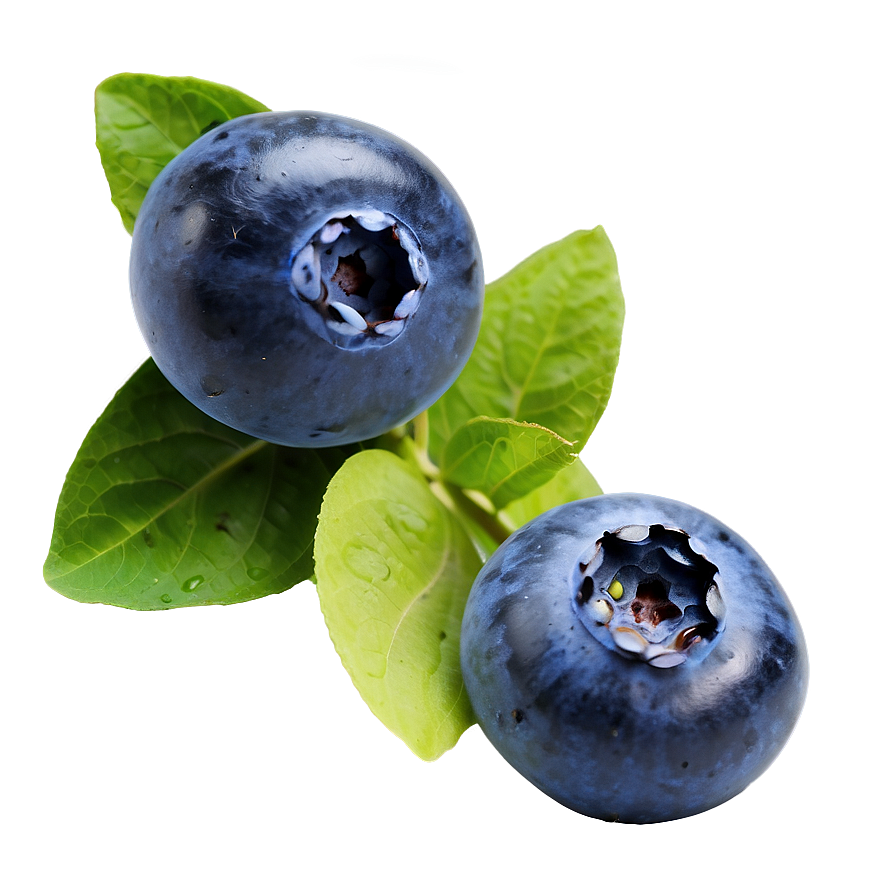 Isolated Blueberry Png 6