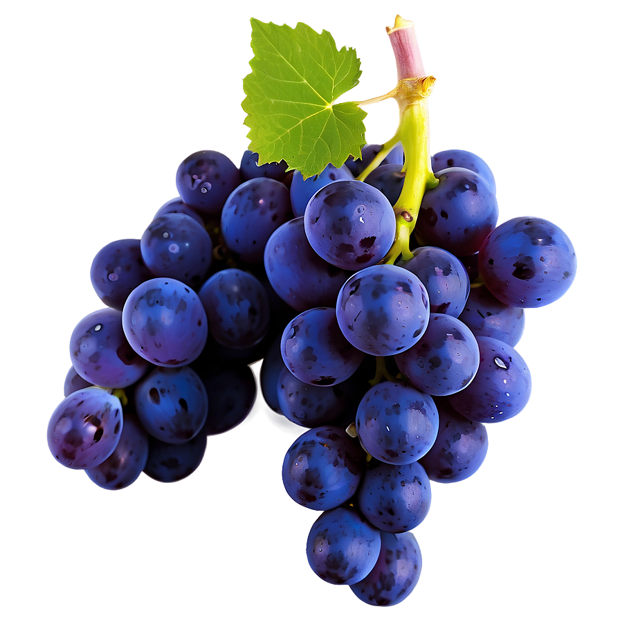 Isolated Grape Picture Png 60