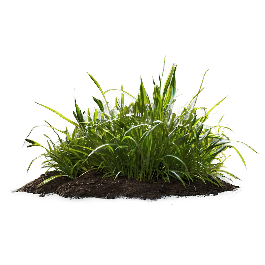 Isolated Grass Patch Png Vnl33