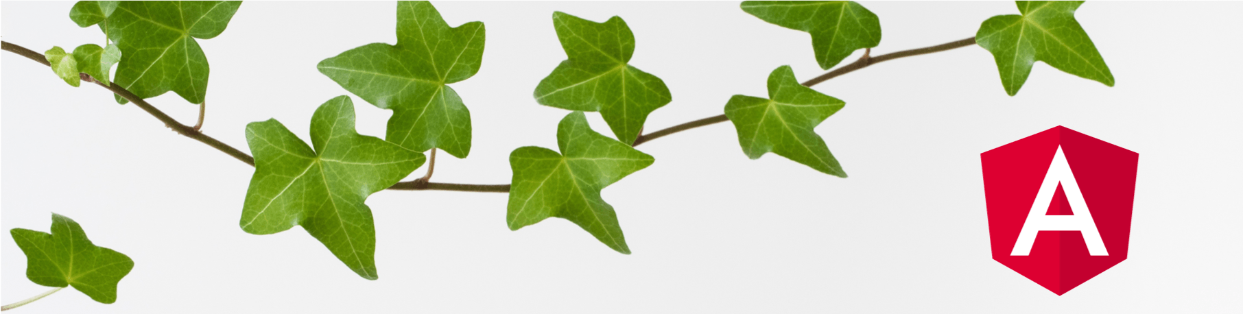 Ivy Branch White Background