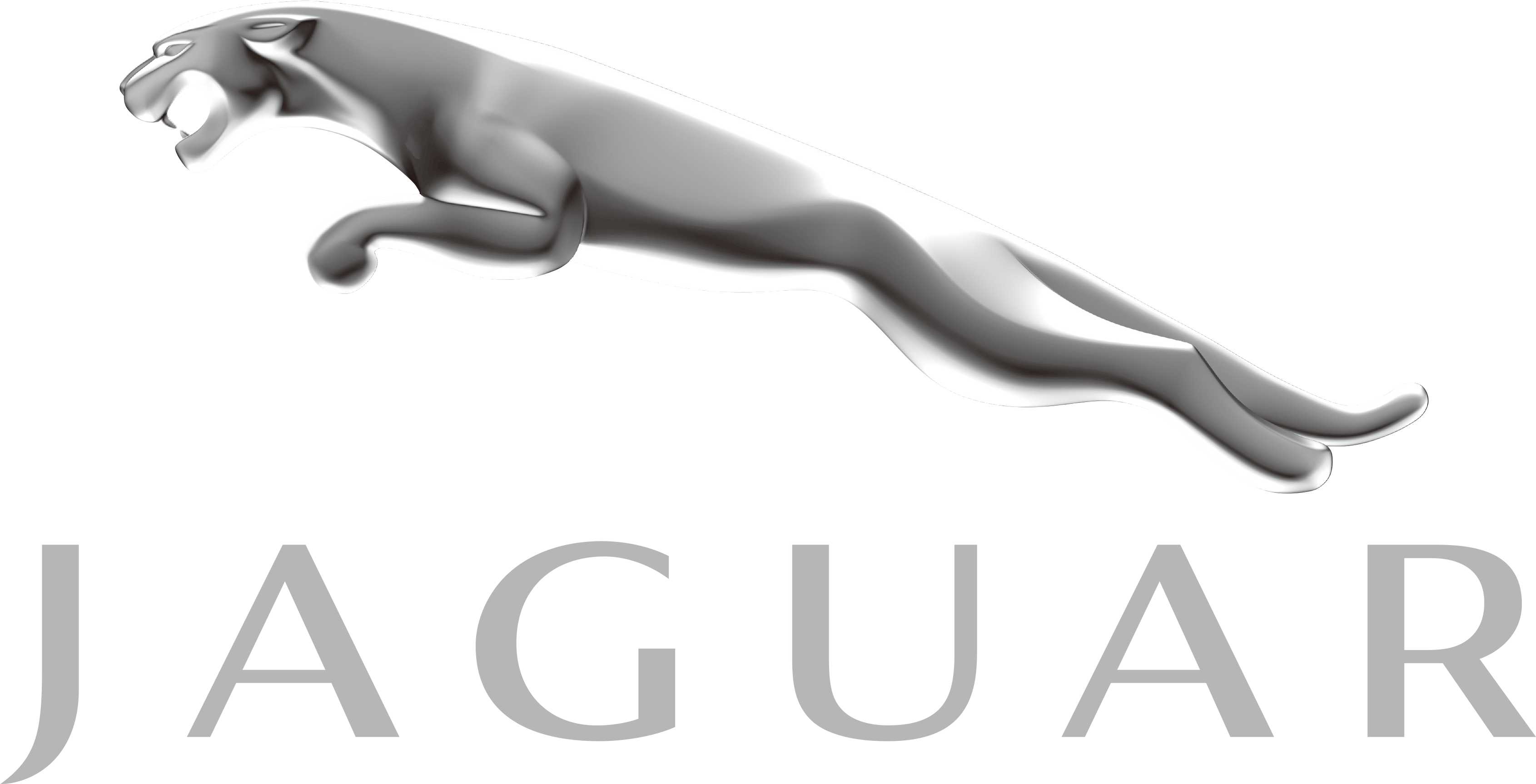 Jaguar Car Logo Silver