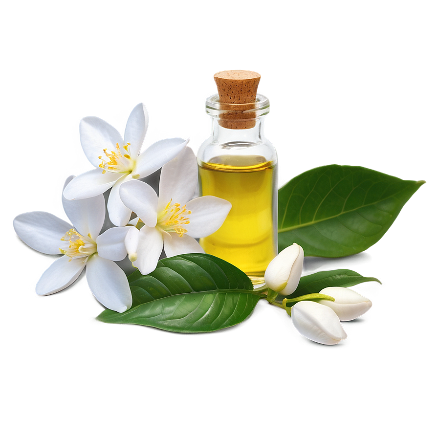 Jasmine Essential Oil Png 06292024