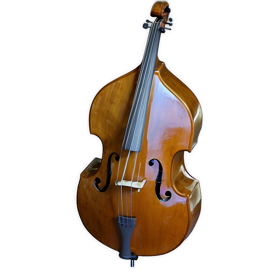 Jazzy Double Bass Png 39