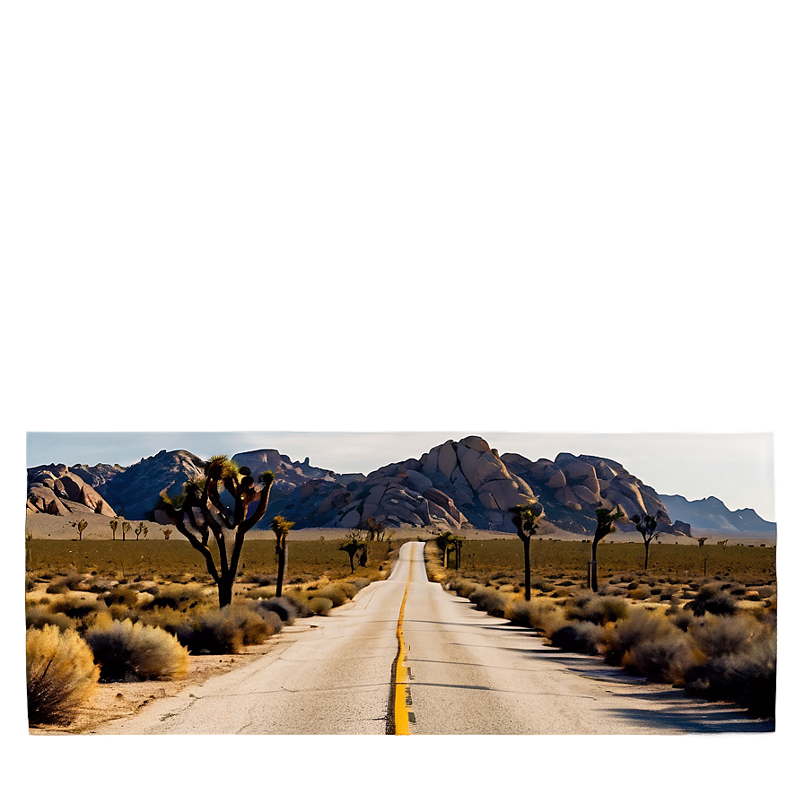 Joshua Tree Desert Road Png Psd