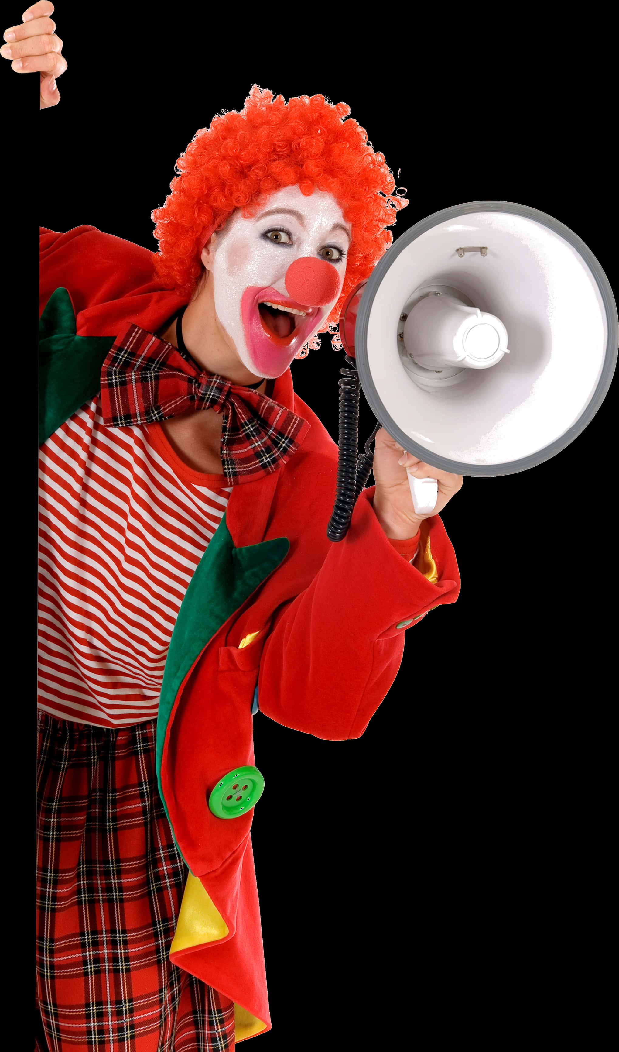 Joyful Clown With Megaphone