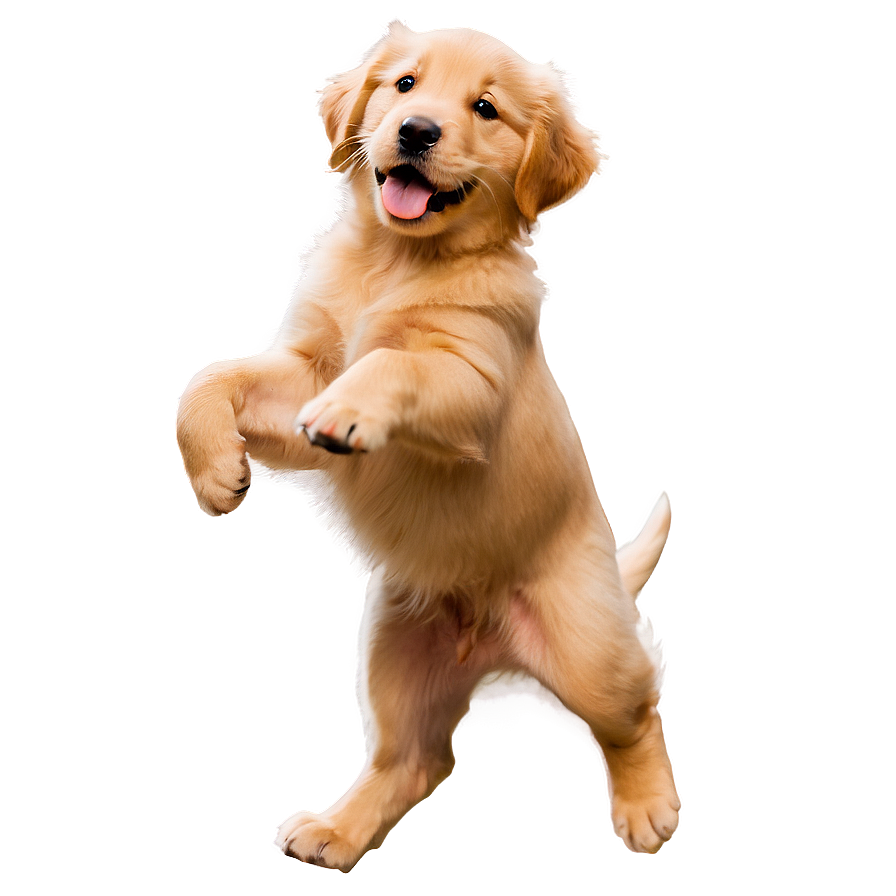 Joyful Golden Retriever Puppy Png 06252024