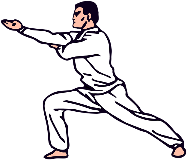 Judo Stance Illustration.png