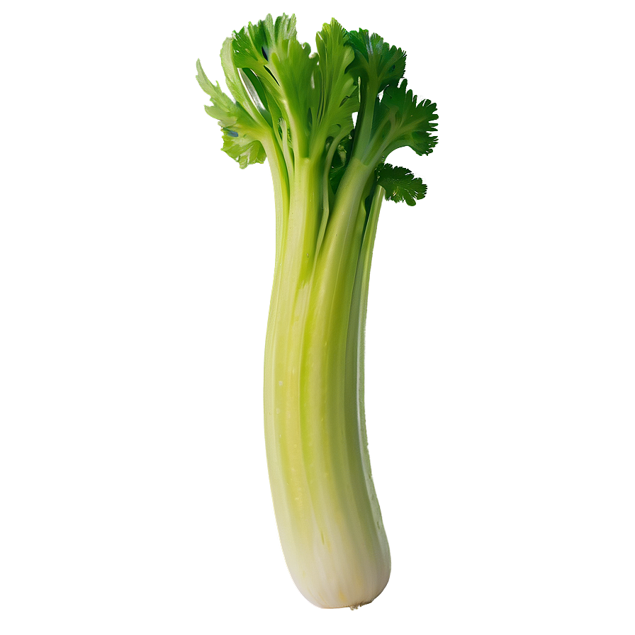 Juicy Celery Png Mnf55