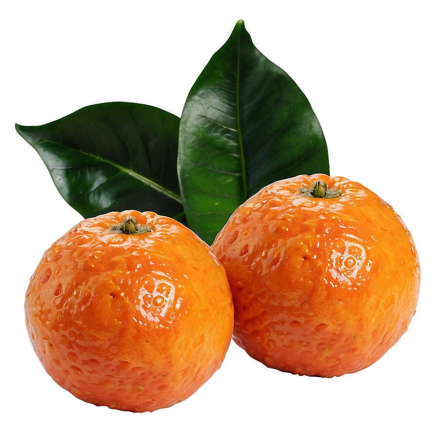 Juicy Clementine Fruit Png 33