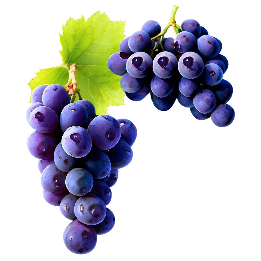 Juicy Grapes Png Cgx9