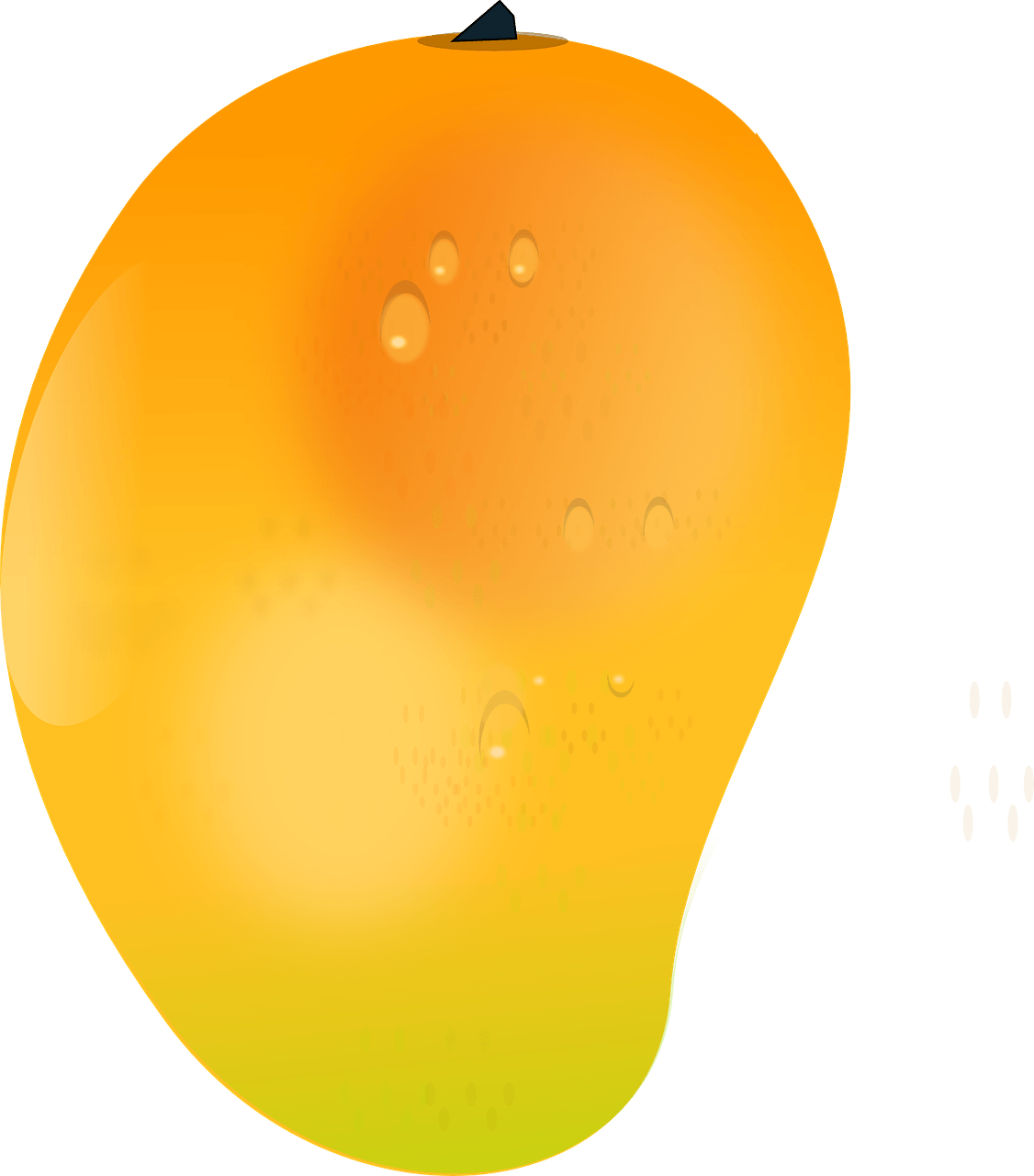 Juicy Mango Fruit Illustration