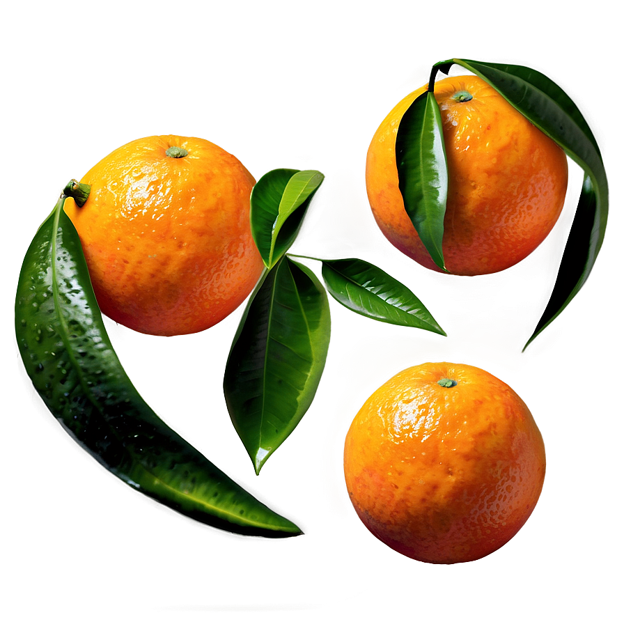 Juicy Orange Fruit Png Hhf