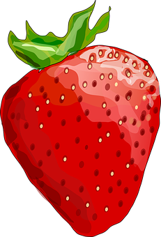 Juicy Strawberry Illustration