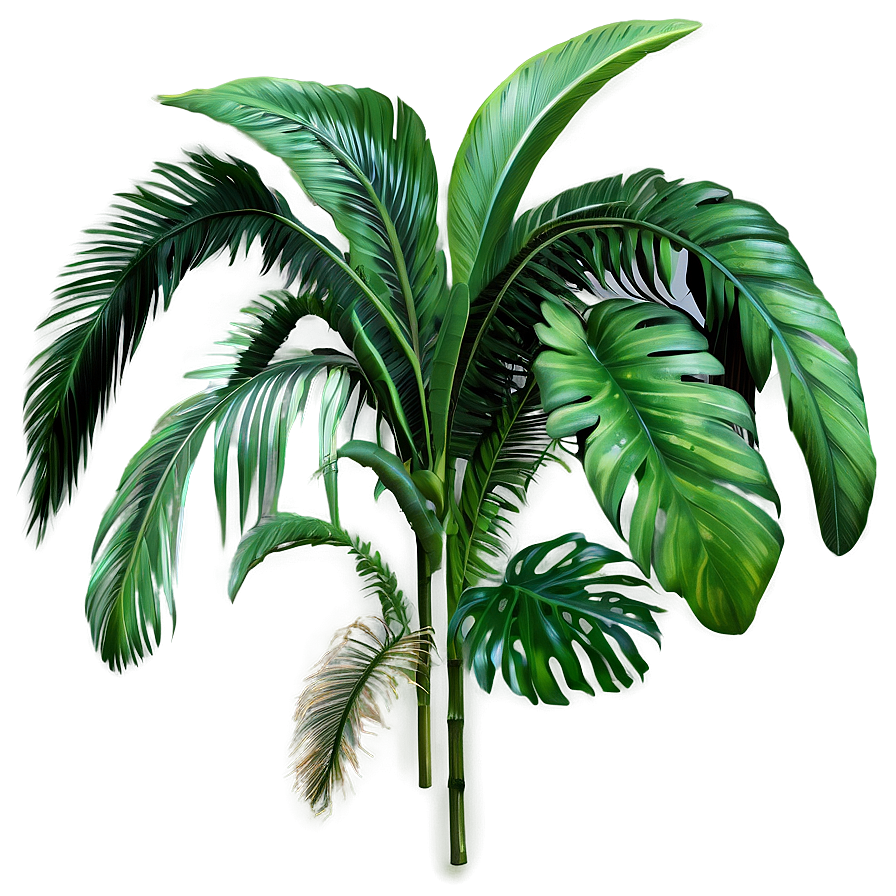 Jungle Plants Png 13