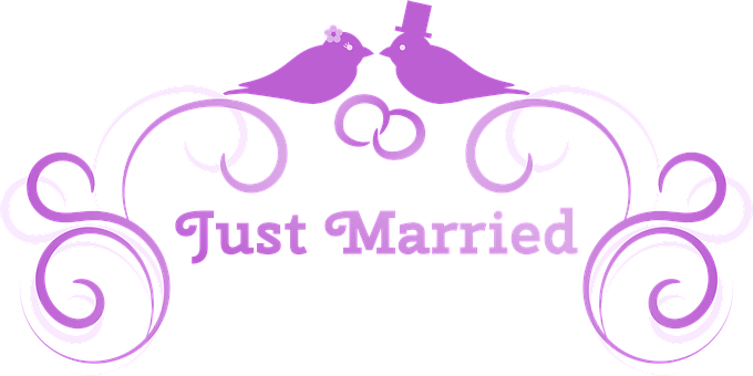 Just Married Birds Graphic