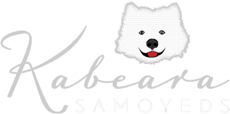 Kabeara Samoyeds Logo