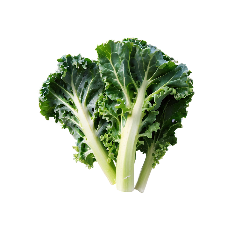 Kale A