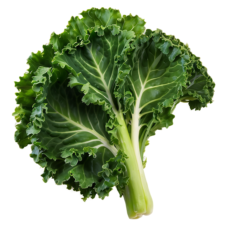 Kale D