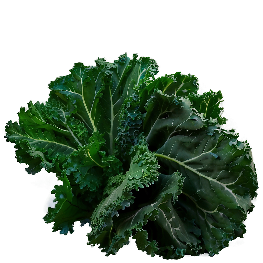 Kale Field Png Ynw