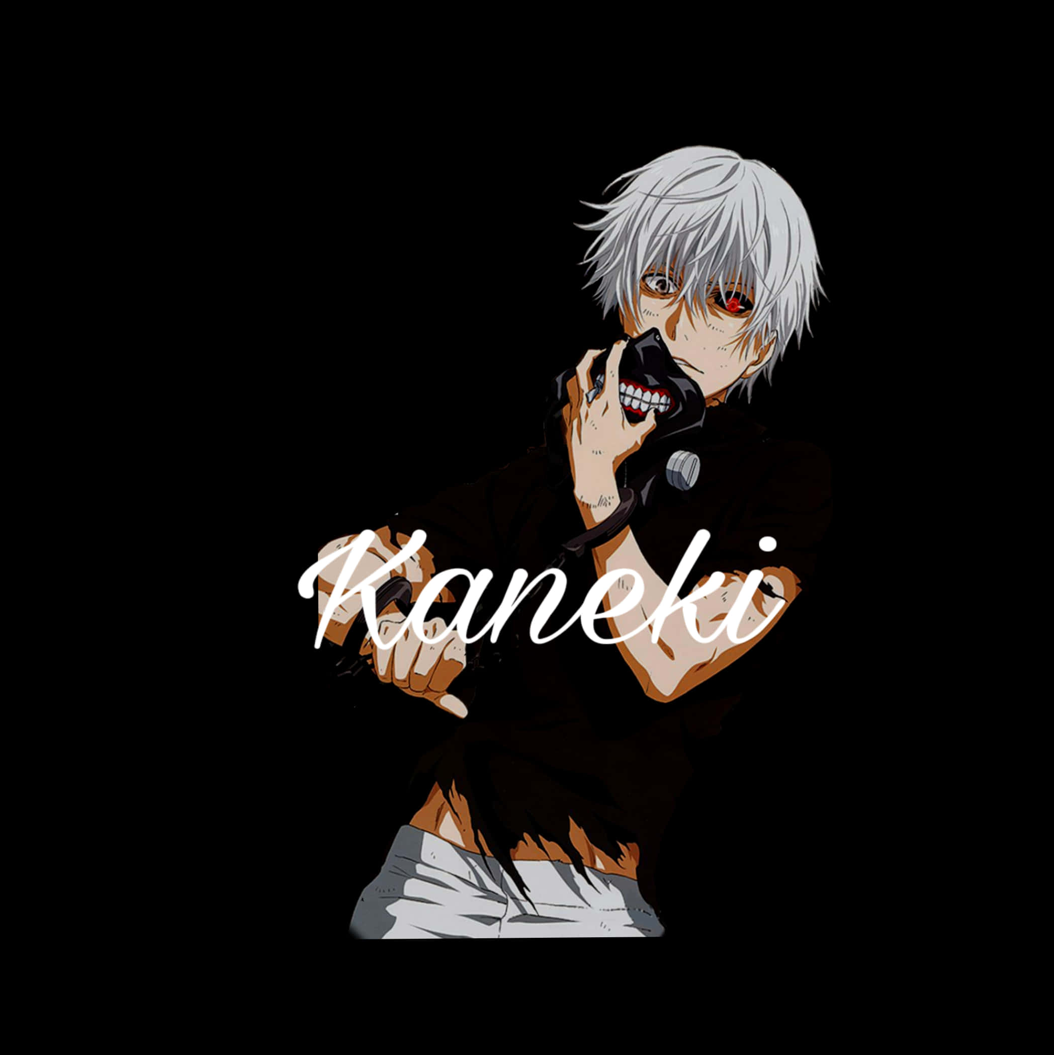 Kaneki Ken Tokyo Ghoul Character